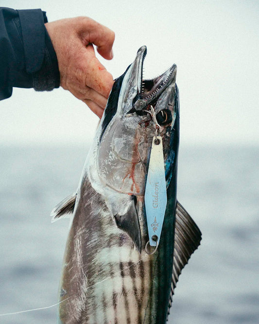 Gideon Small Surface Iron