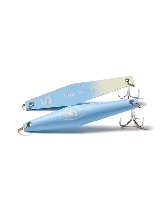 The Wise Surface Iron